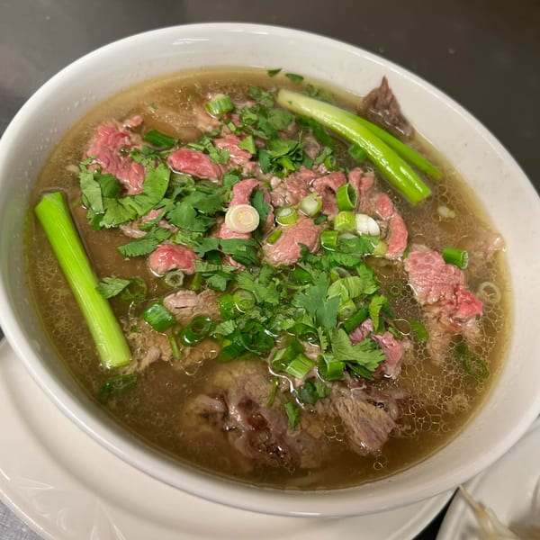 A bowl of southern-style beef pho with broth, thinly sliced beef, cilantro, and green onions.